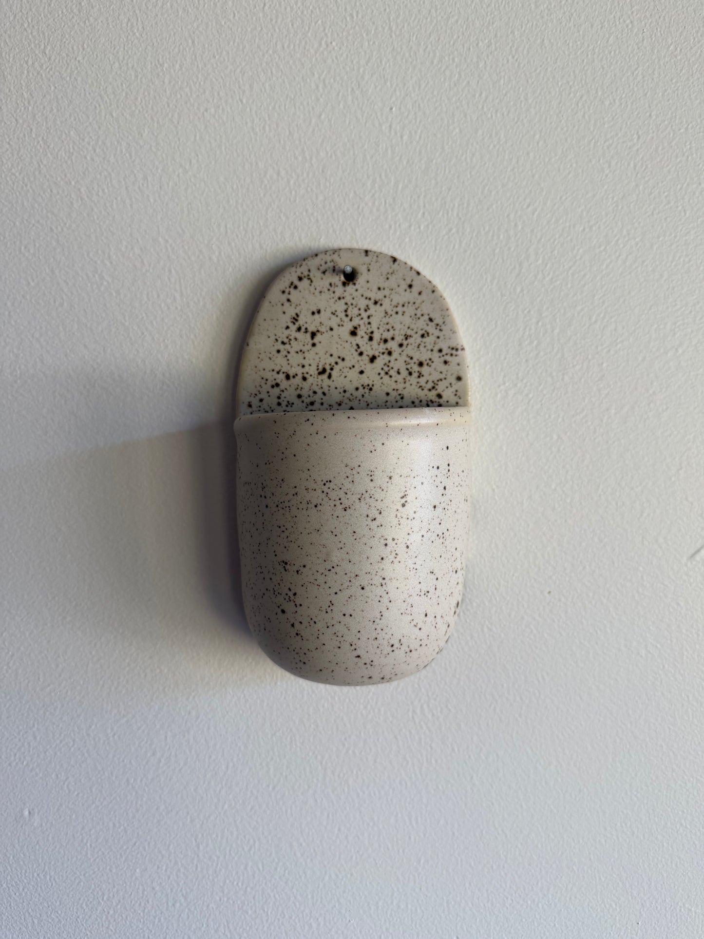 Wall Vase - Cookie