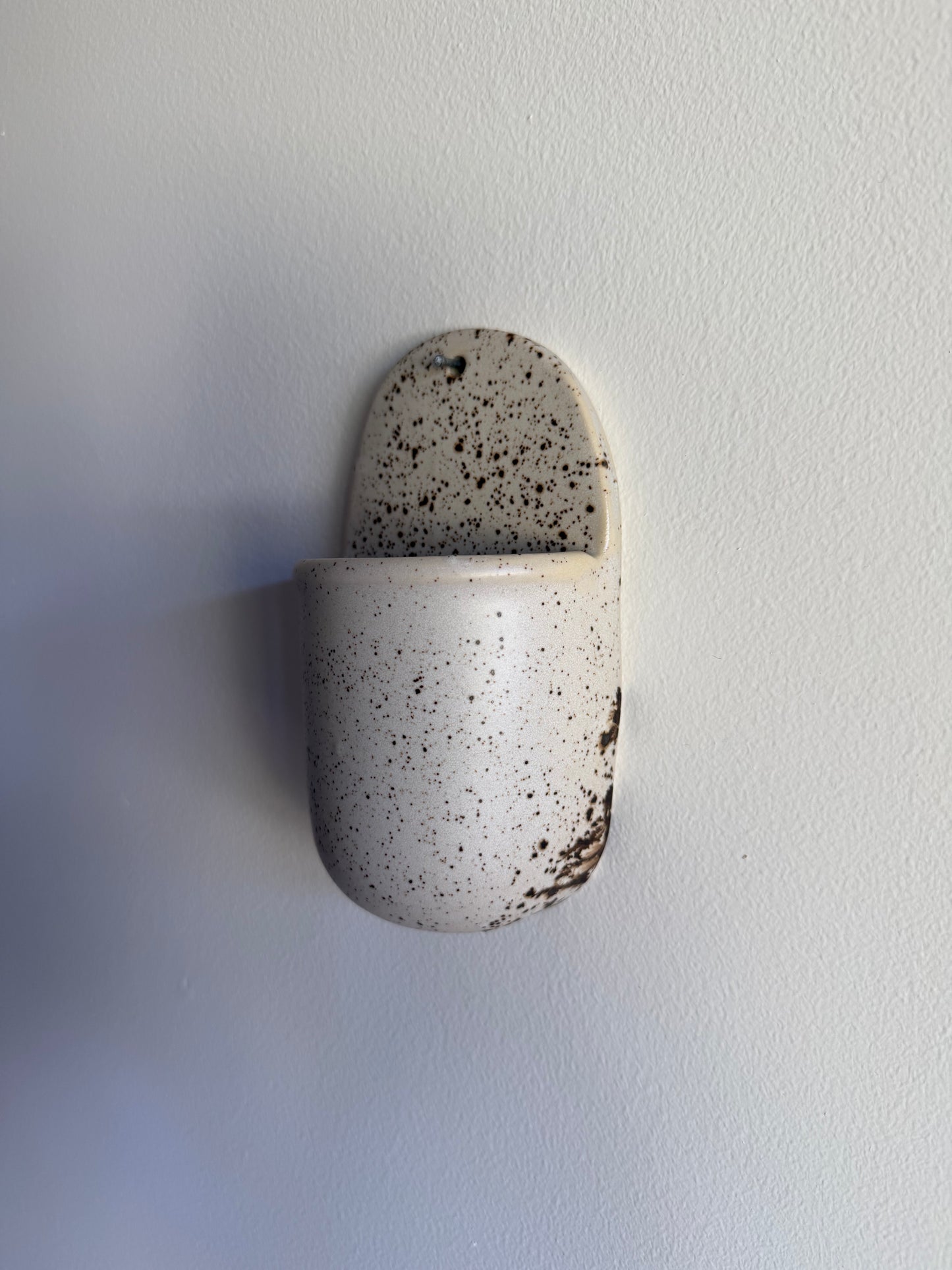 Wall Vase - Cookie