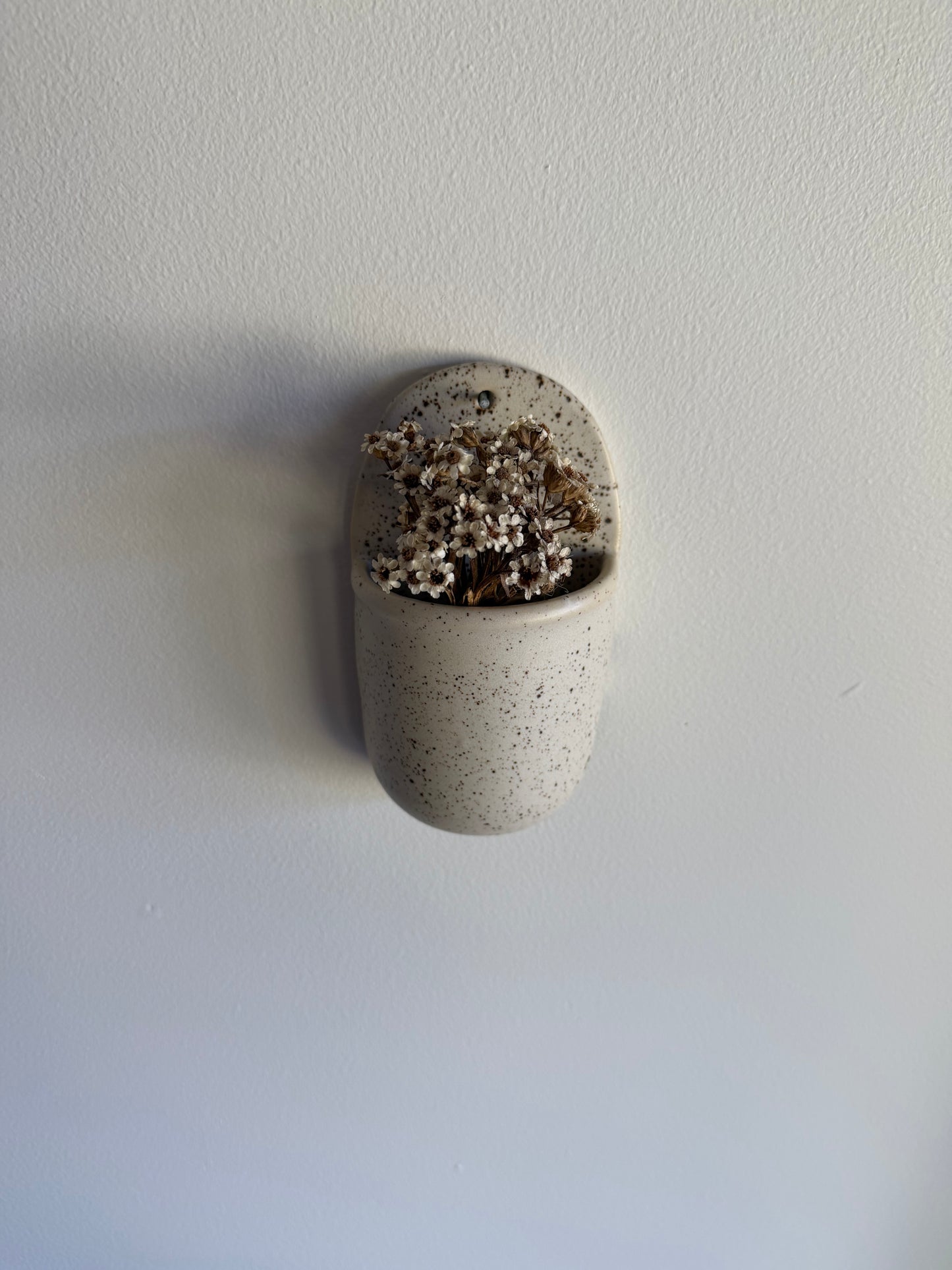 Wall Vase - Cookie